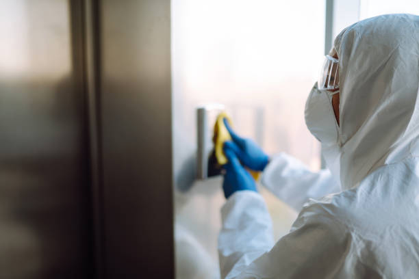 Best Mold Remediation Experts  in Haines City, FL